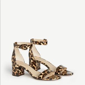 Ann Taylor Leopard Print Block Heel Sandals